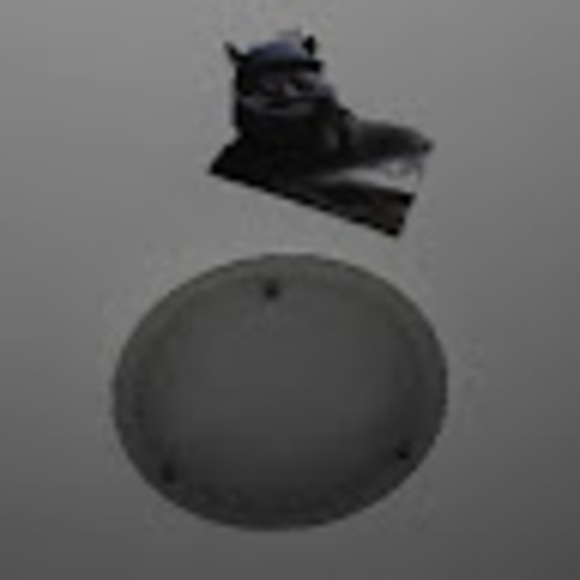 Meet your Posher, Matias - Picture 1 of 1